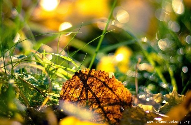 妇产科手术后 多久可以开始性生活？“JDB电子”