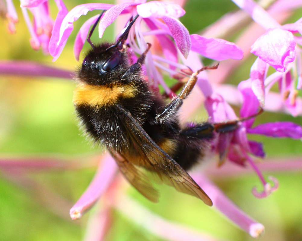 青春期月经量多大出血 应及时到妇科就医：JDB电子试玩网页版