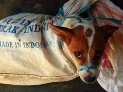 JDB电子试玩网页版