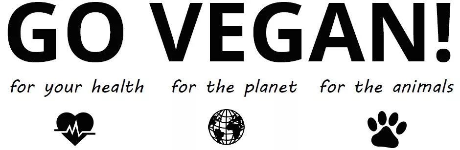 时尚小窝 | 冷色调也能温馨又静谧‘JDB电子游戏官网’