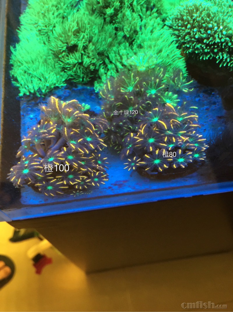 JDB电子游戏官网