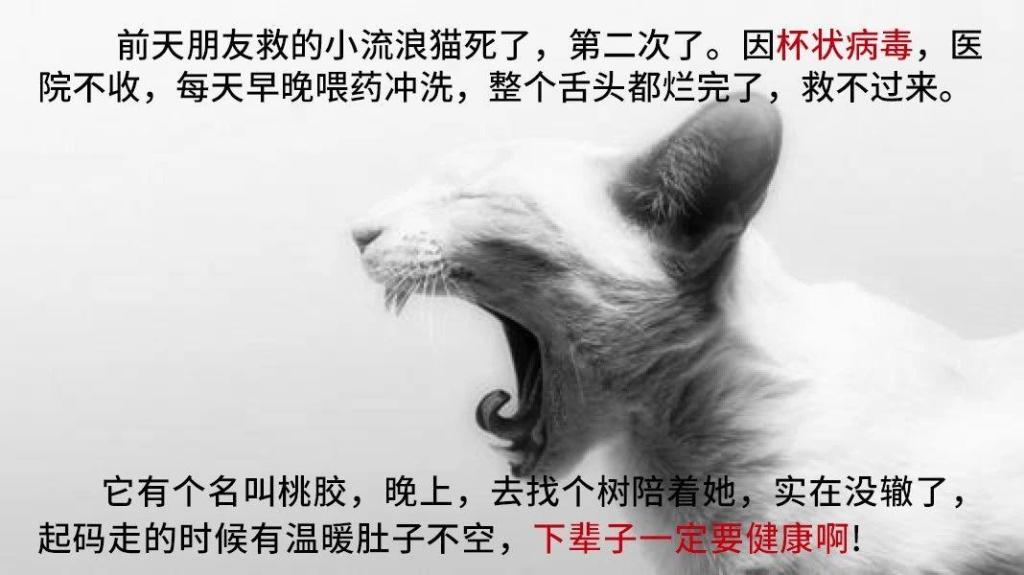 “JDB电子游戏官网”书桌摆放忌讳 避开这些旺运又旺财~(图2) JDB电子