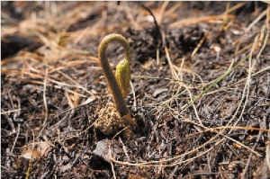 JDB电子游戏官网