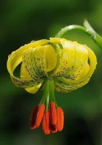 【JDB电子】守护孩子卫浴安全 要注意这6点