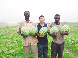 有机玻璃板规格尺寸一般是多少？‘JDB电子试玩网页版’