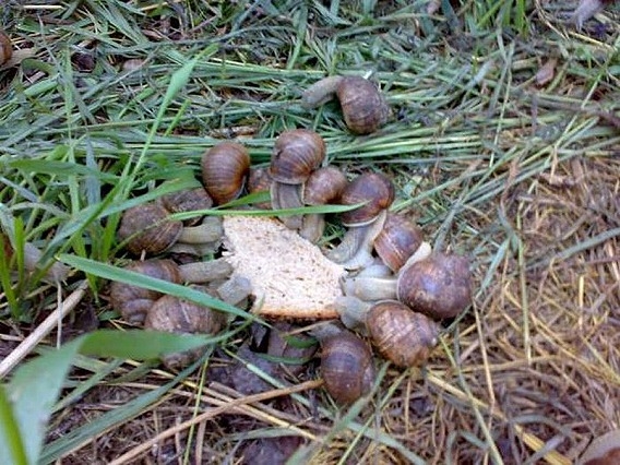 JDB电子游戏官网