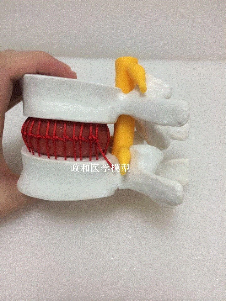以健康重新定义家电 海尔焕新健康节即将启动_JDB电子试玩网页版