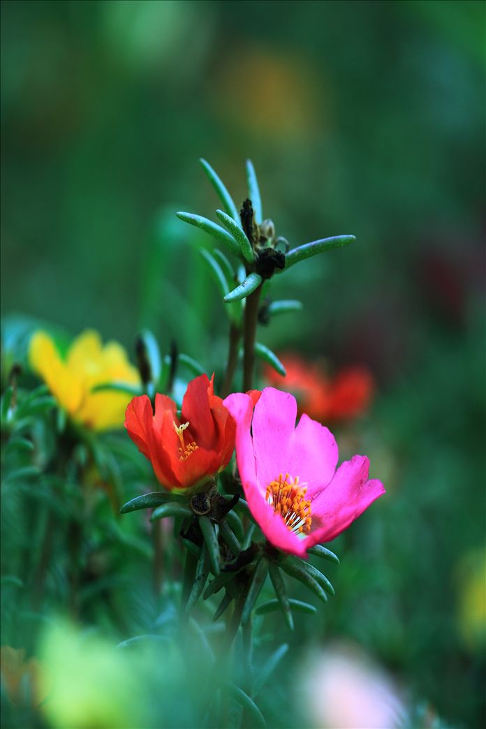 马桶堵了怎么办？别急看看专业师傅怎么说：JDB电子游戏官网