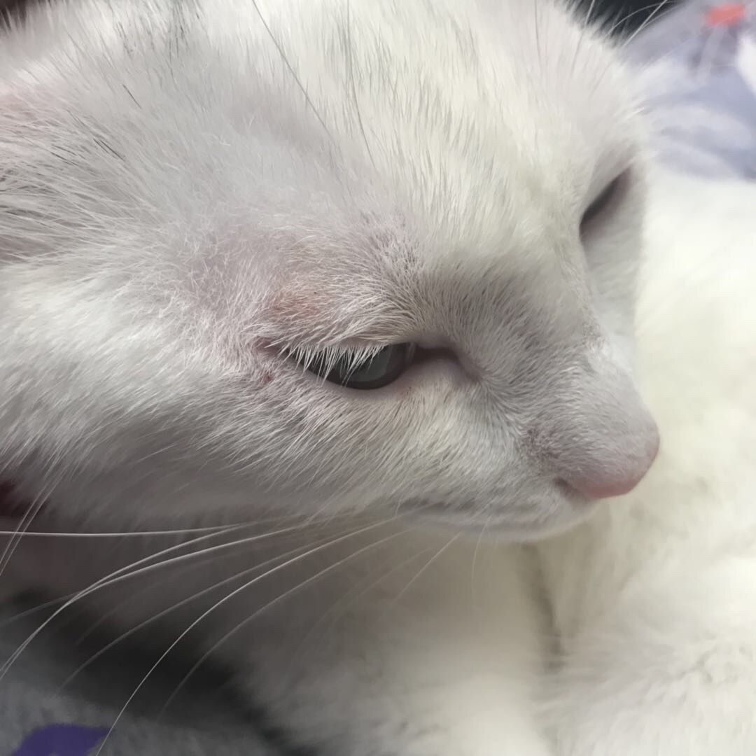 欧洲57球三叉戟一个夏天解散!黑马怒赚1亿转会费【JDB电子】(图2) JDB电子试玩网页版