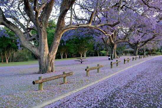 窄小的房子如何变宽大?学会空间利用技巧,蜗居房住的也舒服_JDB电子试玩网页版(图2) JDB电子