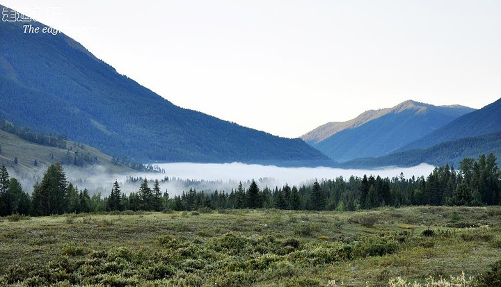 子宫肌瘤的治疗要点 合理膳食可治疗子宫肌瘤‘JDB电子游戏官网’