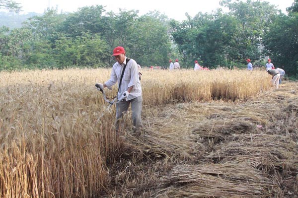 ‘JDB电子试玩网页版’武昌装修公司哪家好？