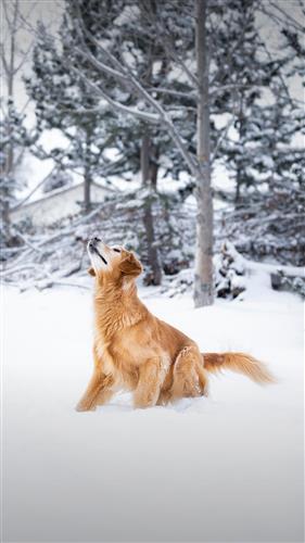 JDB电子_别傻！饿着肚子的爱情是浮云