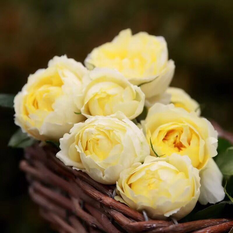 乳腺增生的中医病因是什么|JDB电子(图2) JDB电子游戏官网