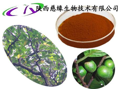 燃气热水器怎么选?“JDB电子”(图4) JDB电子