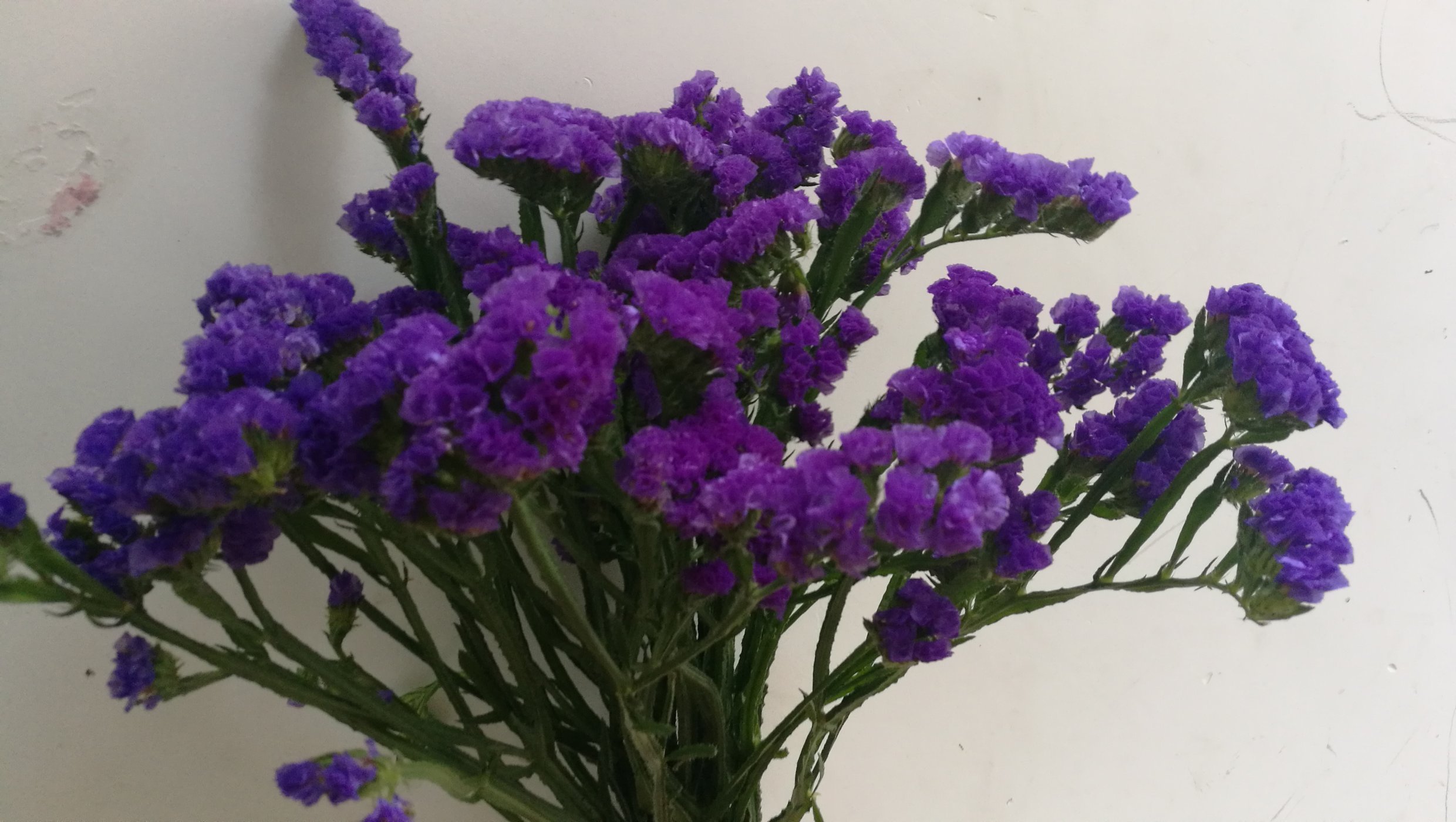 JDB电子游戏官网