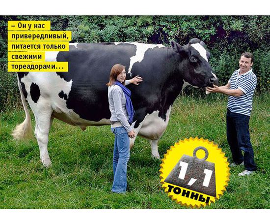 德甲-奥巴梅扬2球香川破门 多特3-2喜迎第700胜_JDB电子游戏官网(图4) JDB电子