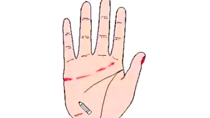 JDB电子游戏官网|金地天悦93平米半包