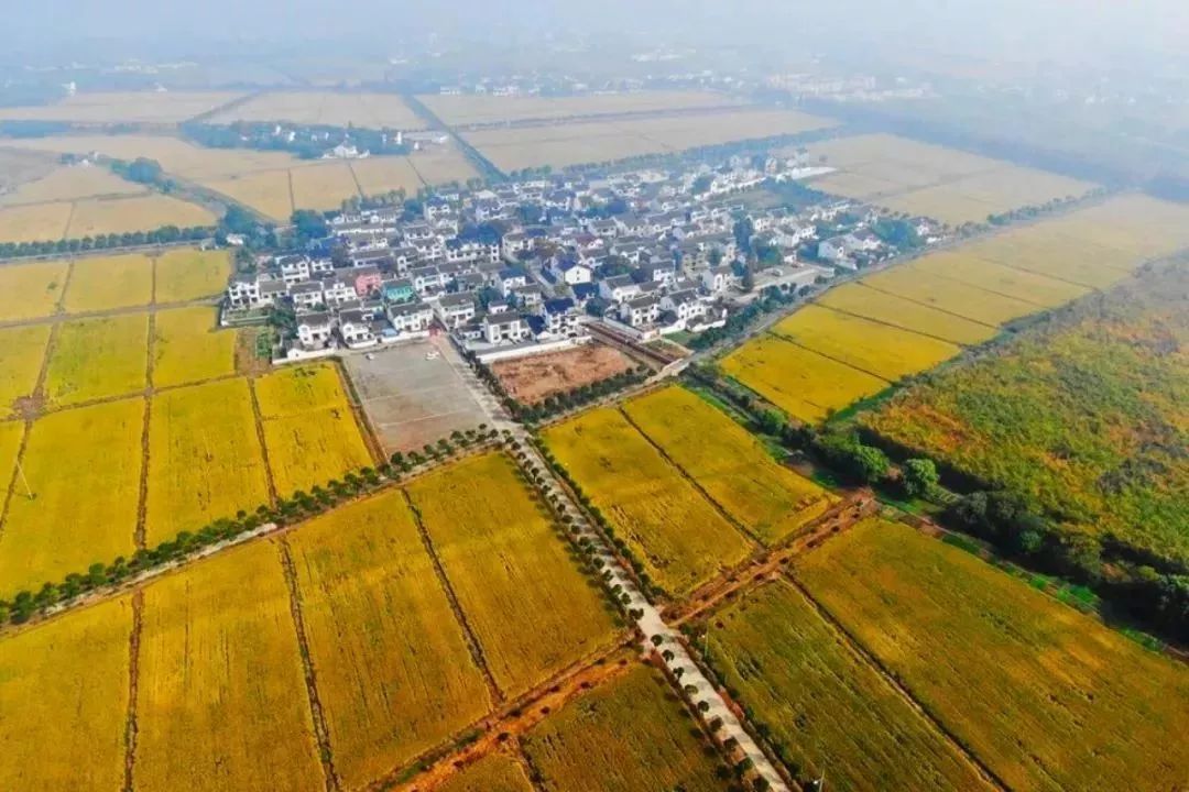 JDB电子游戏官网