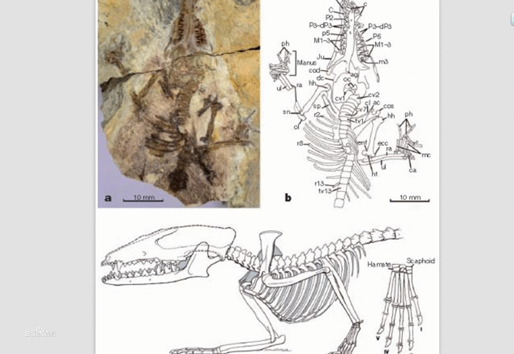 JDB电子游戏官网