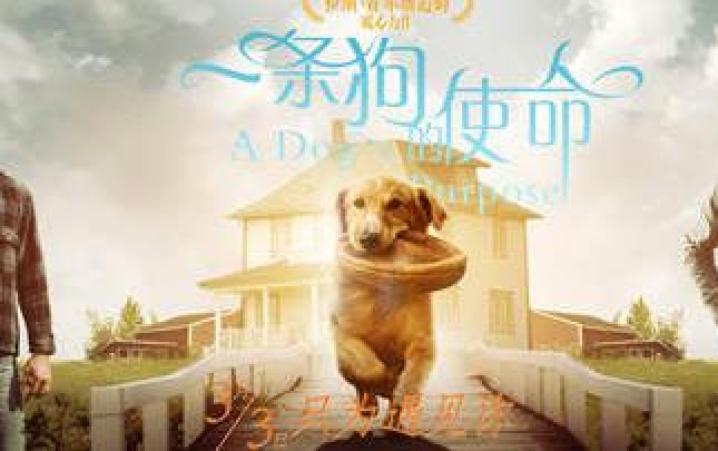 JDB电子试玩网页版