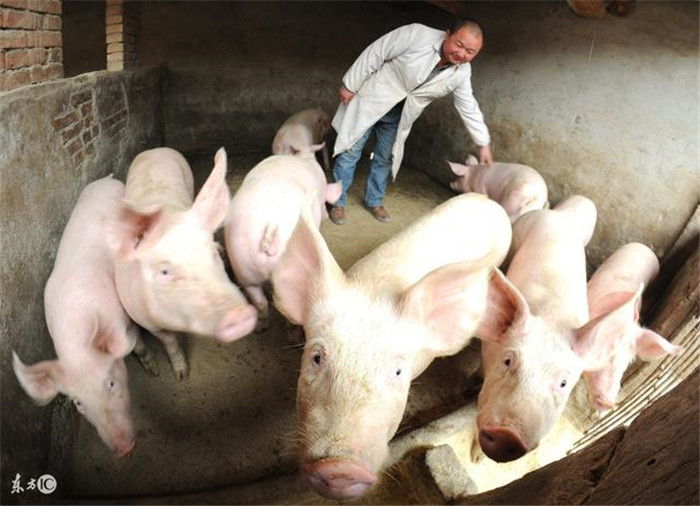 尴尬！拜仁成德国最不受欢迎球队 弱旅荣登榜首‘JDB电子试玩网页版’