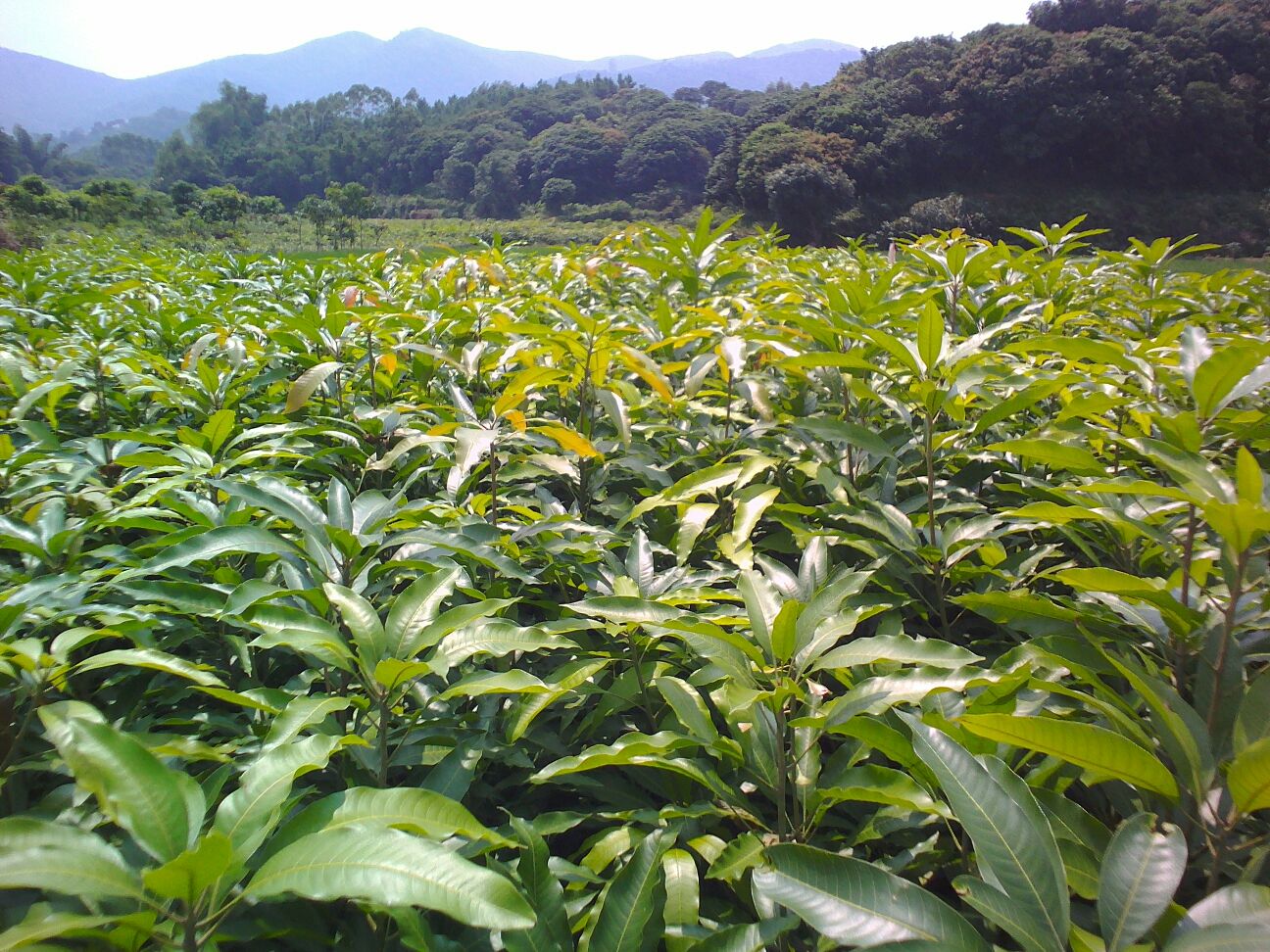 别让家居致癌物断送了你的美好生活‘JDB电子游戏官网’