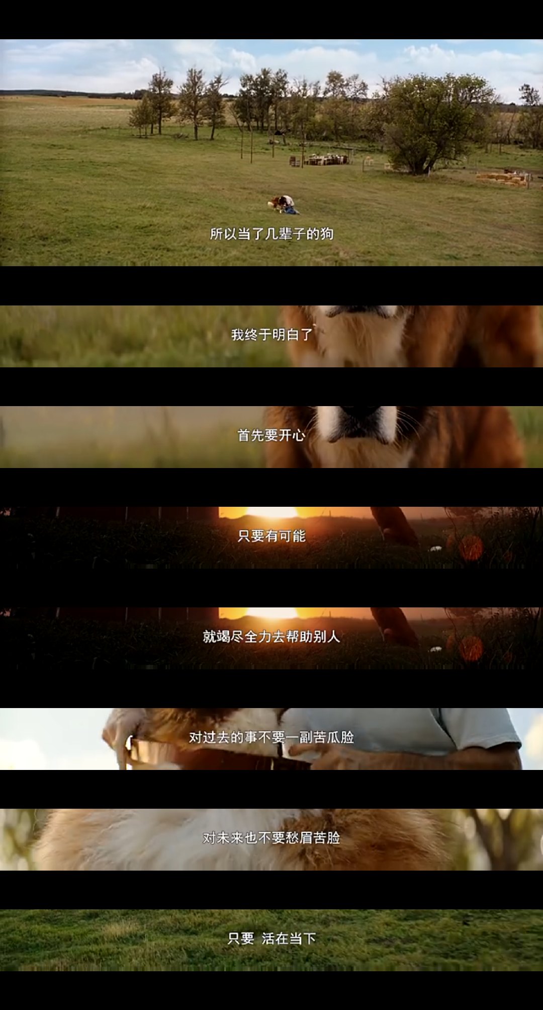 JDB电子试玩网页版：戈麦斯指狼堡不可能